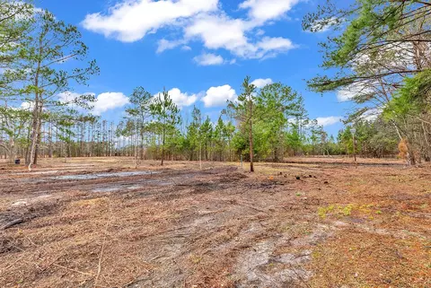 3930 Red Bluff Rd, Loris, SC 29569 photo 3