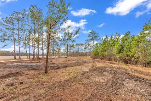 3930 Red Bluff Rd, Loris, SC 29569 photo 4