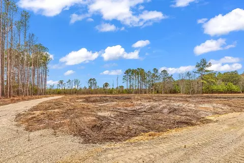 3930 Red Bluff Rd, Loris, SC 29569 photo 16