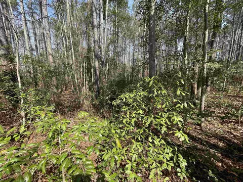 1243 Hwy 9, Loris, SC 29569 photo 5
