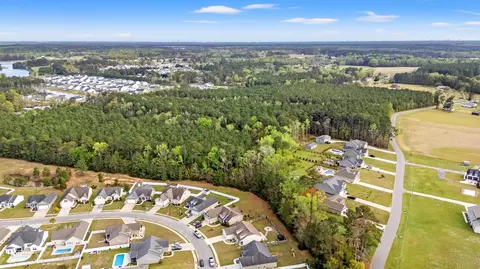 View/Area - 189 Barons Bluff Dr, Conway, SC 29526 photo 3 of 6