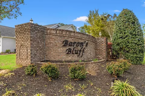 Other - 189 Barons Bluff Dr, Conway, SC 29526 photo 6 of 6
