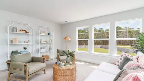 Other - 201 Blueberry Fields Ct, Longs, SC 29568 photo 8 of 21