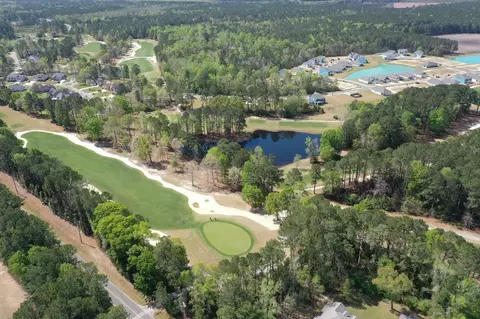 View/Area - 507 Whiddy Loop, Conway, SC 29526 photo 8 of 10