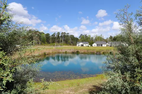 View/Area - 507 Whiddy Loop, Conway, SC 29526 photo 3 of 10