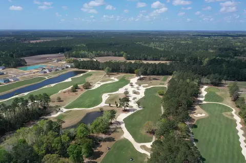 View/Area - 507 Whiddy Loop, Conway, SC 29526 photo 9 of 10