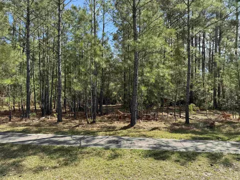 113 Pineberry Dr, Georgetown, SC 29440