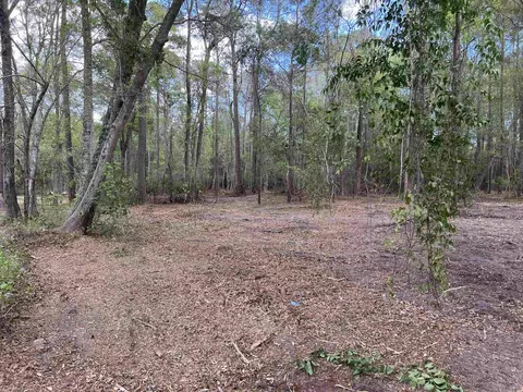 11094 Old Pee Dee Rd, Hemingway, SC 29554 photo 7