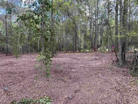 11094 Old Pee Dee Rd, Hemingway, SC 29554 photo 6