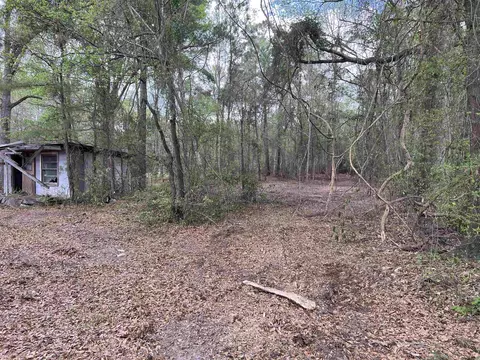 11094 Old Pee Dee Rd, Hemingway, SC 29554 photo 4