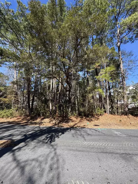 lot79 Brandon Way, Georgetown, SC 29440