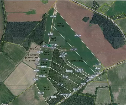 tbd Tract 5 Trinidad Ard Rd, Coward, SC 29530