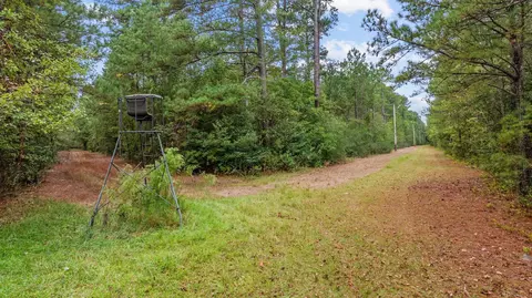 tbd River Bend Rd, Loris, SC 29569 photo 10