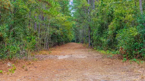 tbd River Bend Rd, Loris, SC 29569 photo 12