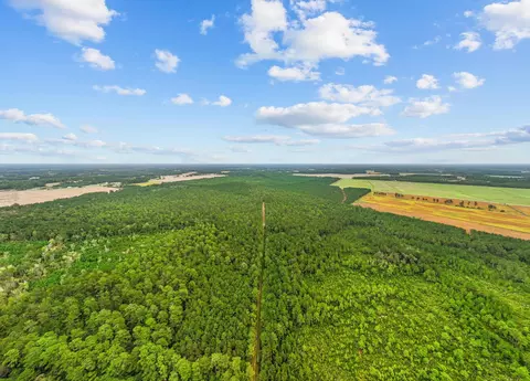 tbd River Bend Rd, Loris, SC 29569 photo 6