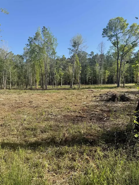 tbd Pauley Swamp Rd, Conway, SC 29527