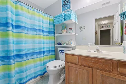 Bath - 166 Junco Cir, Longs, SC 29568 photo 2 of 2