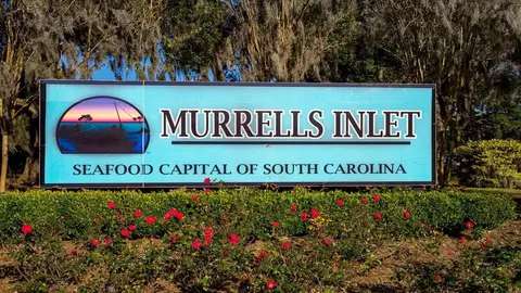 Other - 348 Skyward St, Myrtle Beach, SC 29588 photo 5 of 8