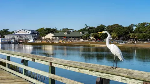 View/Area - 348 Skyward St, Myrtle Beach, SC 29588 photo 1 of 4