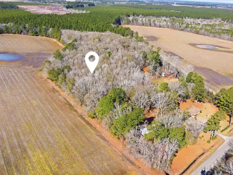 Not Specified, Cades, SC 29518 photo 4
