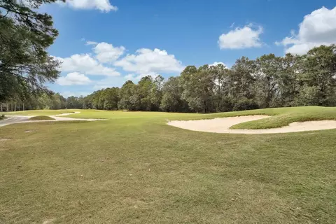 Other - 1064 Cherrystone Loop, Conway, SC 29526 photo 7 of 11