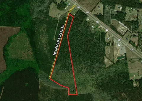 tbd Georgetown Hwy, Andrews, SC 29510