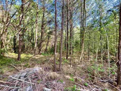 tbd Beth Dr, Conway, SC 29527 photo 5