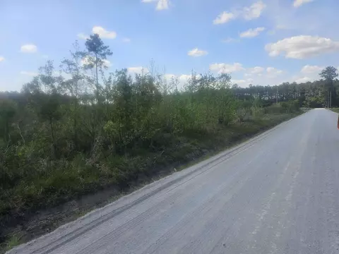 1285 Cheyenne Rd, Conway, SC 29526 photo 2