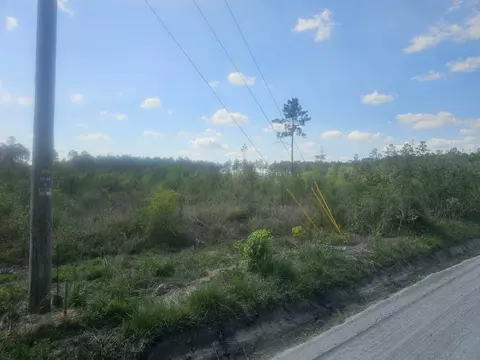 1285 Cheyenne Rd, Conway, SC 29526 photo 4