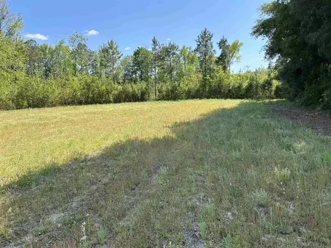 tbd Choppee Rd, Hemingway, SC 29554 photo 3