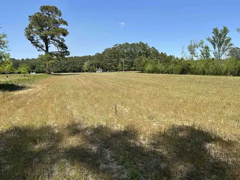 tbd Choppee Rd, Hemingway, SC 29554 photo 2