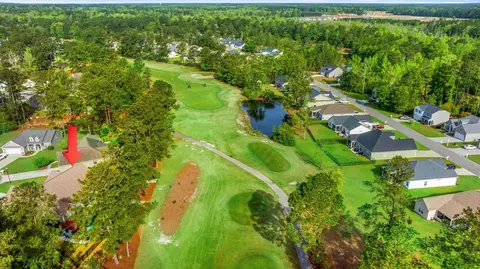 View/Area - 808 Stone Pine Ct, Loris, SC 29569 photo 2 of 10