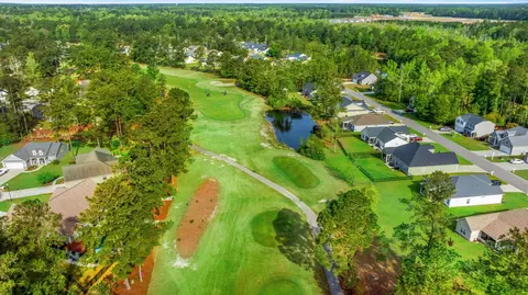 View/Area - 808 Stone Pine Ct, Loris, SC 29569 photo 1 of 10