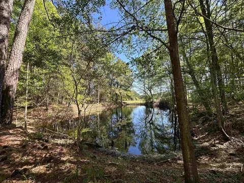 1811 Tranquil Rd, Mullins, SC 29574 photo 16