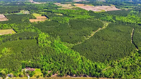tbd Highway 9, Loris, SC 29569 photo 2