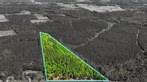tbd Highway 9, Loris, SC 29569 photo 3