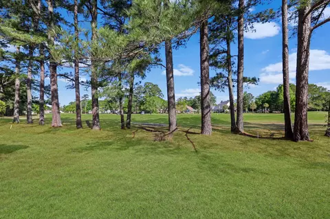 Exterior - 754 Foxtail Dr #10, Longs, SC 29568 photo 5 of 6