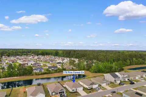 View/Area - 179 Pine Forest Dr, Conway, SC 29526 photo 1 of 9