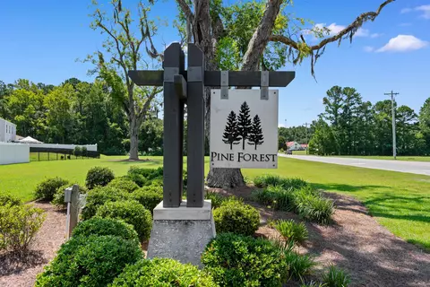 View/Area - 179 Pine Forest Dr, Conway, SC 29526 photo 6 of 9