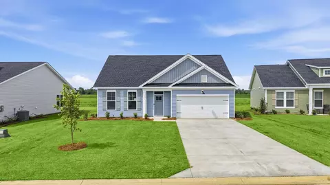 Other - 161 River Birch Dr, Loris, SC 29569 photo 1 of 9