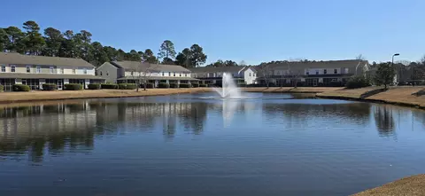 View/Area - 300 Kiskadee Loop #D, Conway, SC 29526 photo 1 of 1