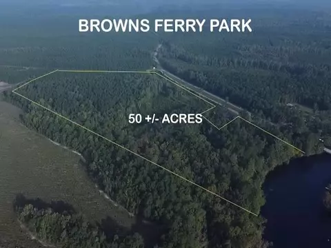 tbd Browns Ferry Rd, Georgetown, SC 29440