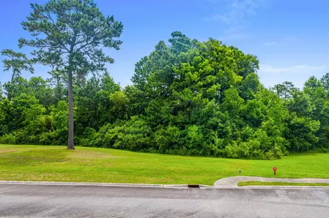 lot Apt 142 Millbrook Rd, Georgetown, SC 29440 photo 11