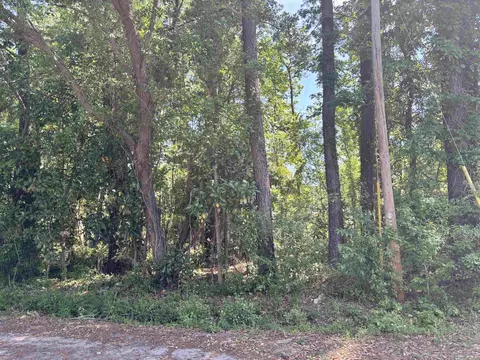 tbd Wilson Ln, Conway, SC 29526