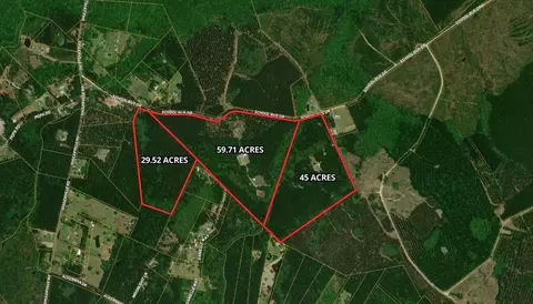 1267 School Bus Rd, Jamestown, SC 29453