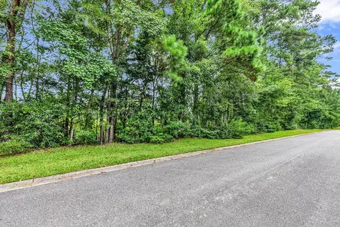 lot5 Kellys Cove Dr, Conway, SC 29526 photo 2