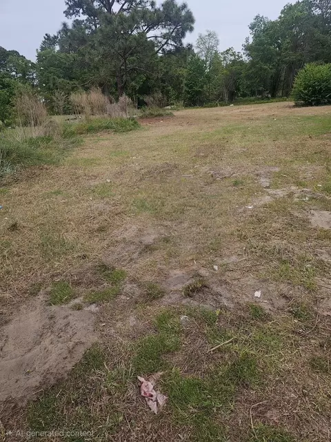 tbd Twilight Rd, Dillon, SC 29536