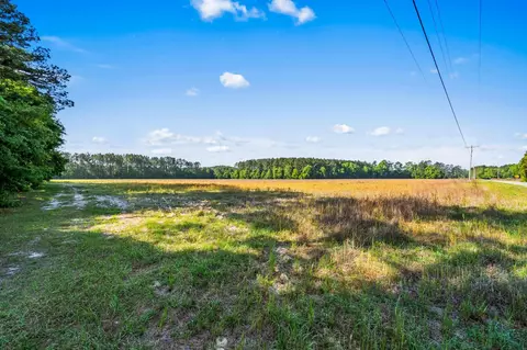 tbd Ray Rd, Hemingway, SC 29554 photo 15