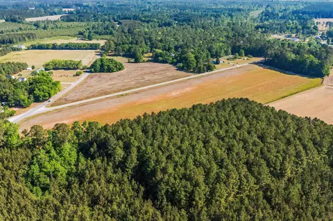 tbd Ray Rd, Hemingway, SC 29554 photo 9