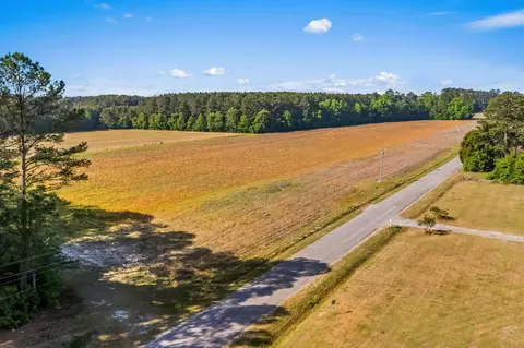 tbd Ray Rd, Hemingway, SC 29554 photo 14